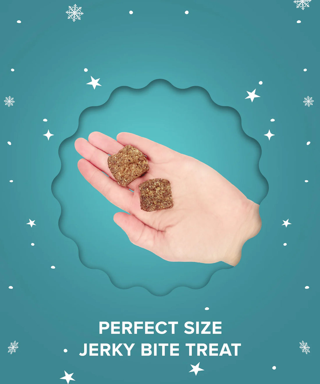 【Plato Pet Treats】Dog Treats -  Holiday Feast - Duck and Cranberry 4oz