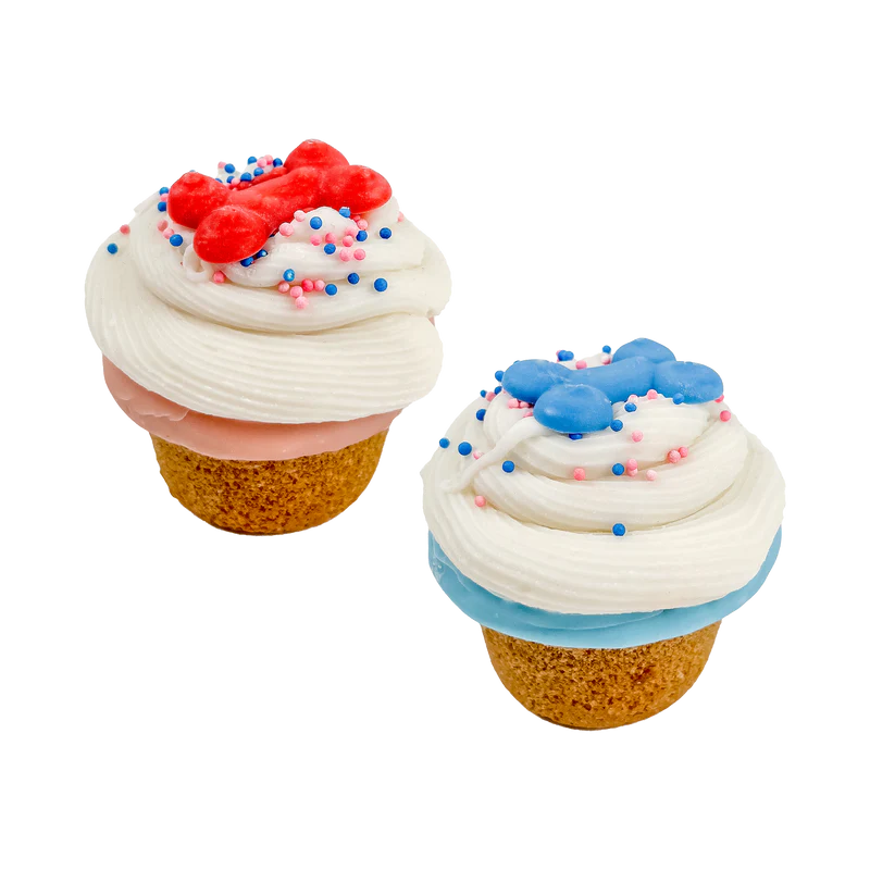 【Bosco and Roxy's BNR】Cupcake-O-Clock | Birthday