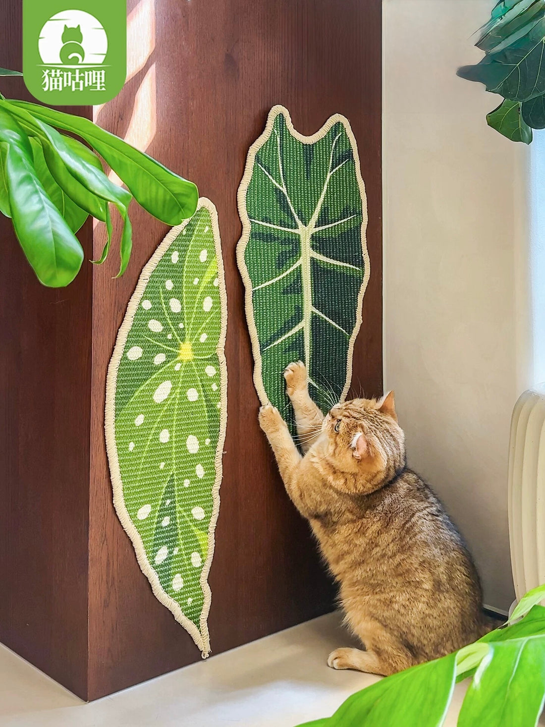 【MAOGULI】Velvet Alocasia Leaf Sisal Wall Scratcher