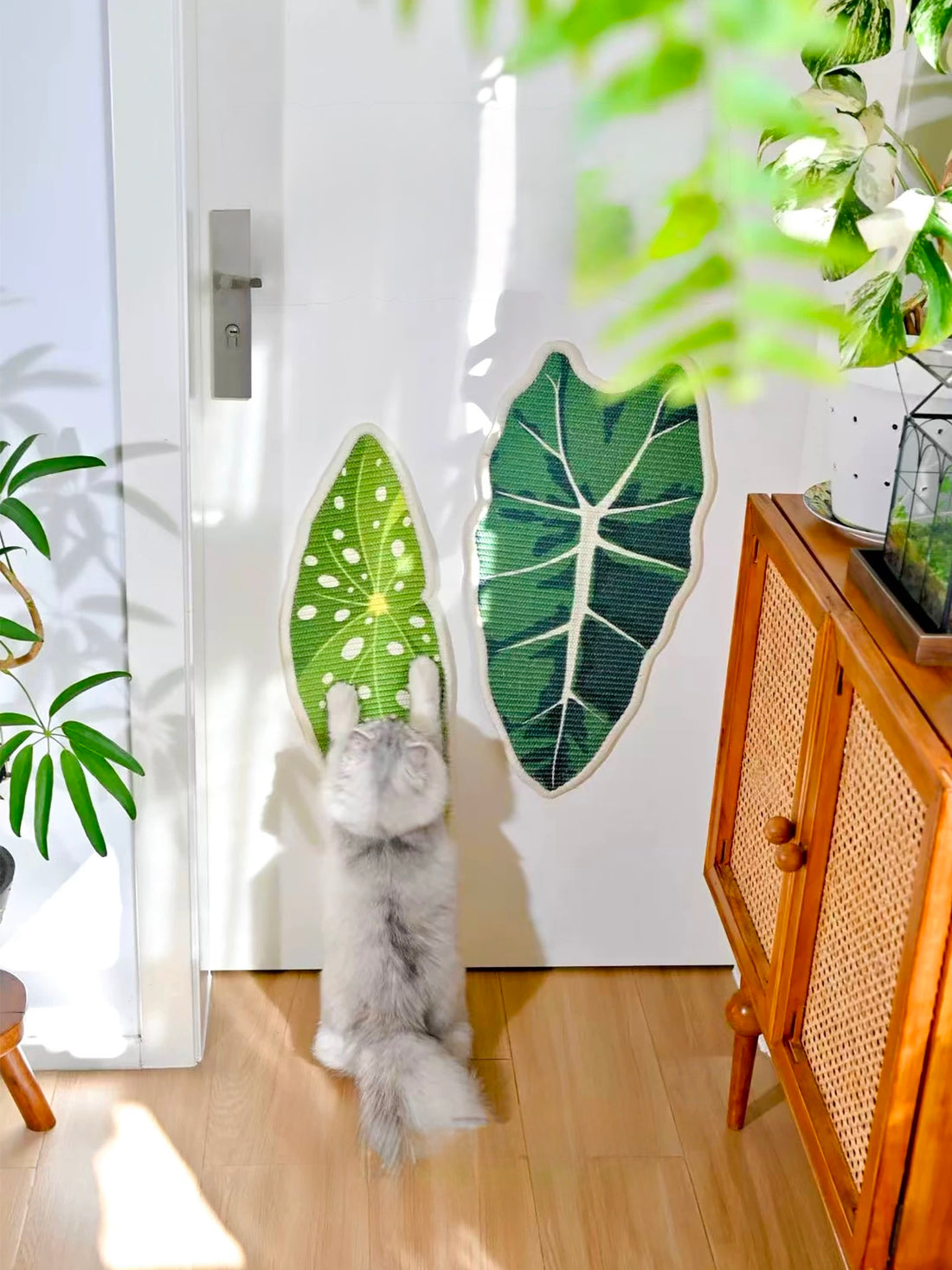 【MAOGULI】Velvet Alocasia Leaf Sisal Wall Scratcher