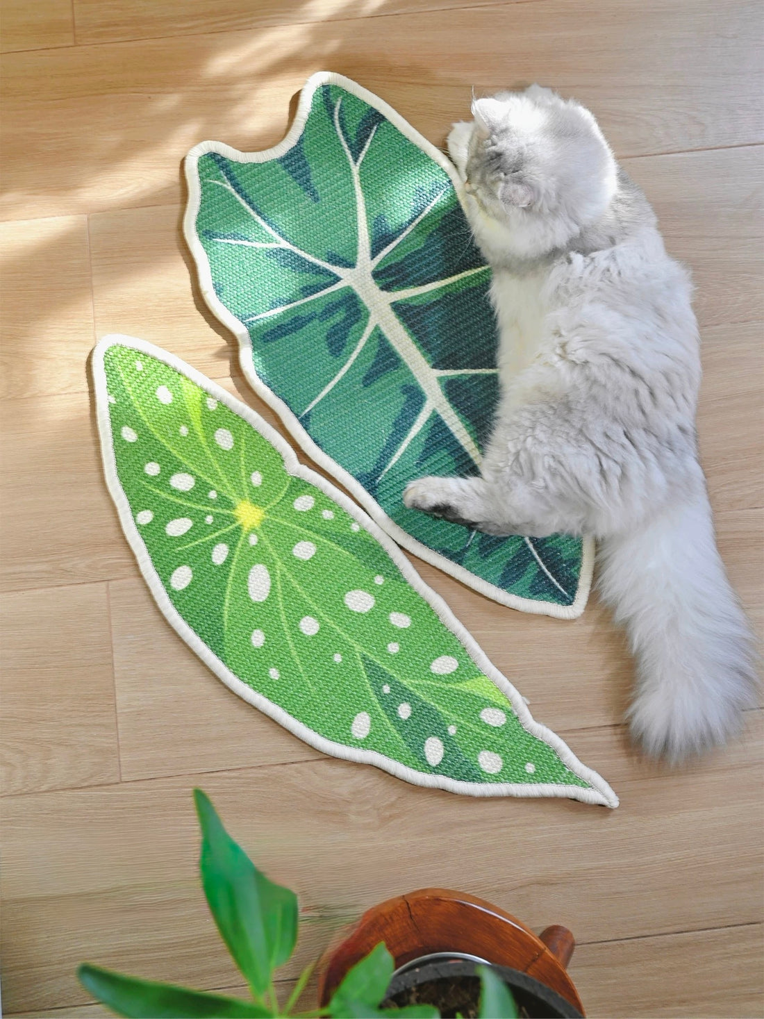 【MAOGULI】Velvet Alocasia Leaf Sisal Wall Scratcher