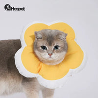 【Hoopet】Waterproof Flower Recovery Collar for Cats & Small Dogs