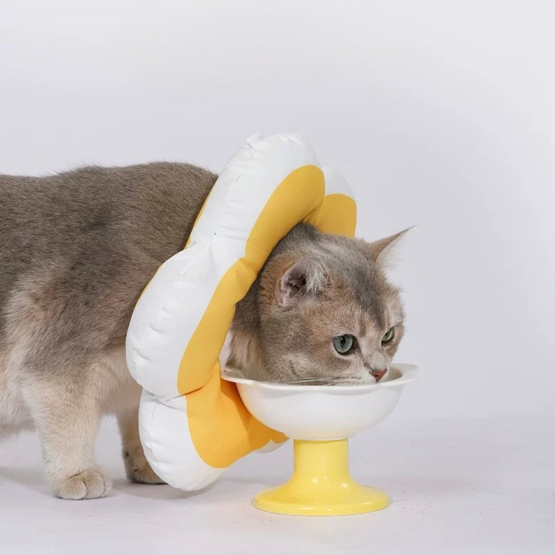 【Hoopet】Waterproof Flower Recovery Collar for Cats & Small Dogs
