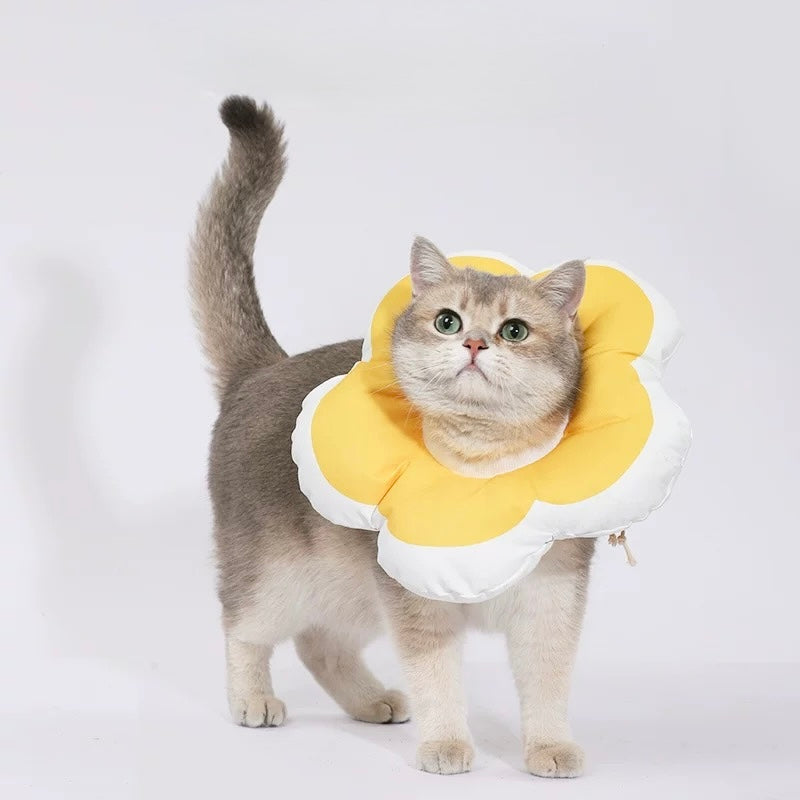【Hoopet】Waterproof Flower Recovery Collar for Cats & Small Dogs