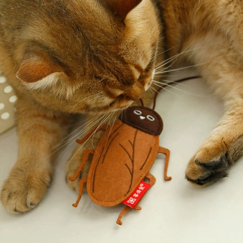 Cockroach Catnip Toy with Bell