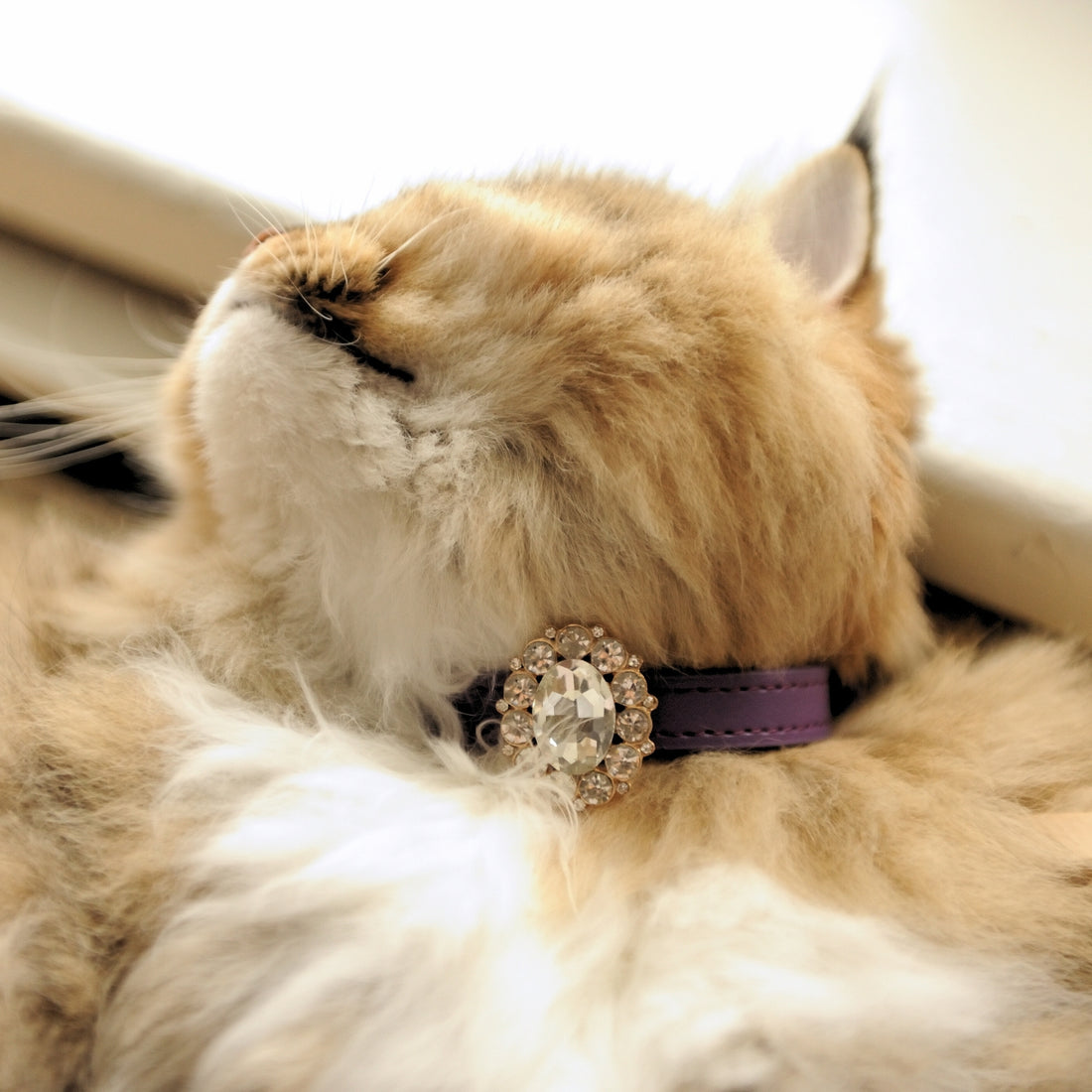 【Mori Cat】Luxury Cat Collar with Interchangeable Gem Charms-Purple