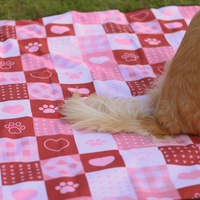 【The Boop Shop】Foldable Dog Picnic Mat | Waterproof | Sandproof