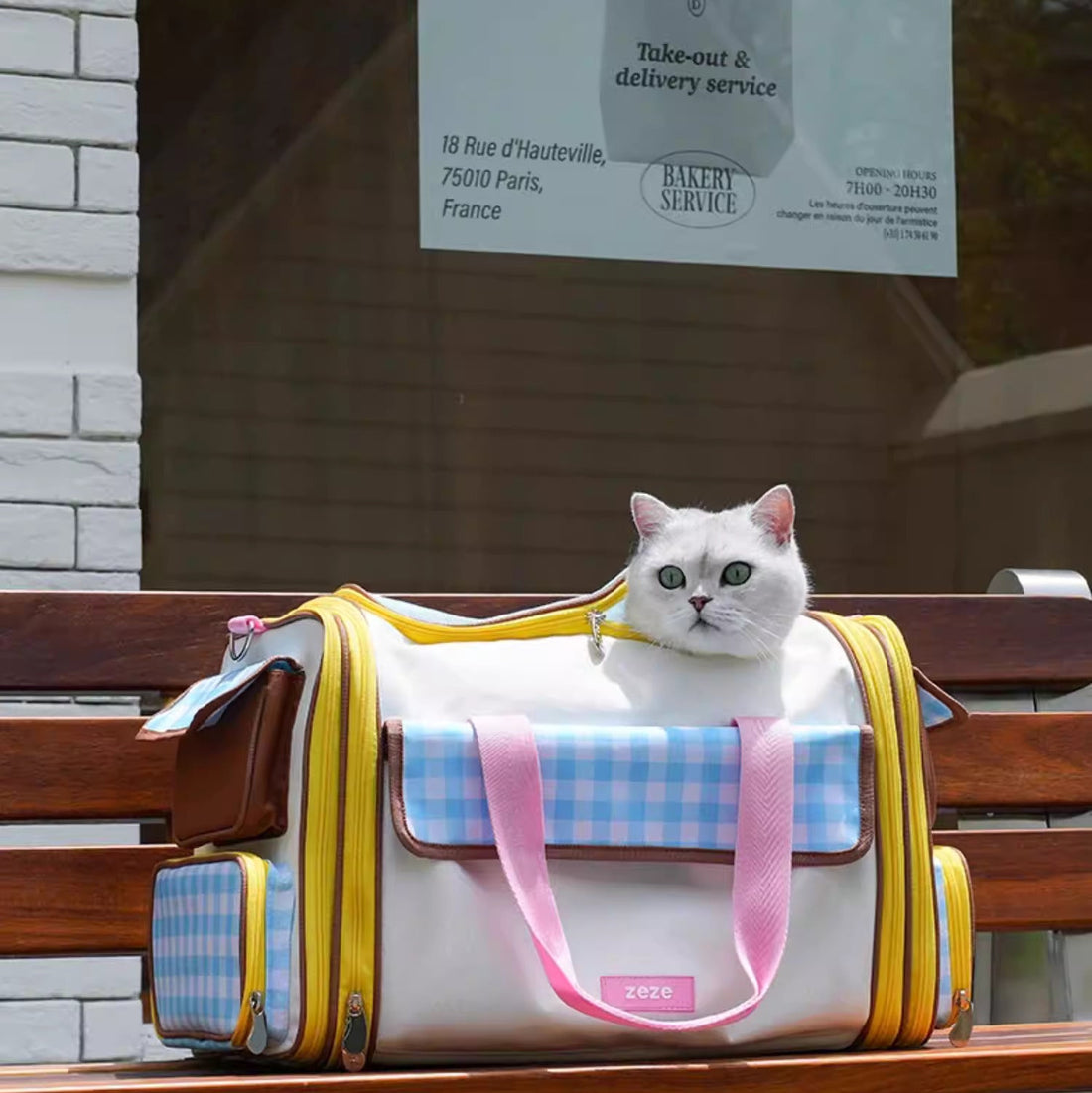 【ZEZE】Expandable All-Season Pet Travel Carrier