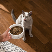 【Open Farm】Kitten Recipe Kibble - Chicken & Turkey Recipe - 4lb / 1.81 kg