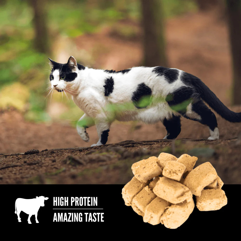 【Orijen】Freeze-Dried Cat Treats - Regional Red - 35g