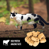 【Orijen】Freeze-Dried Cat Treats - Regional Red - 35g