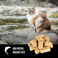 【Orijen】Freeze-Dried Cat Treats - Six Fish - 35g