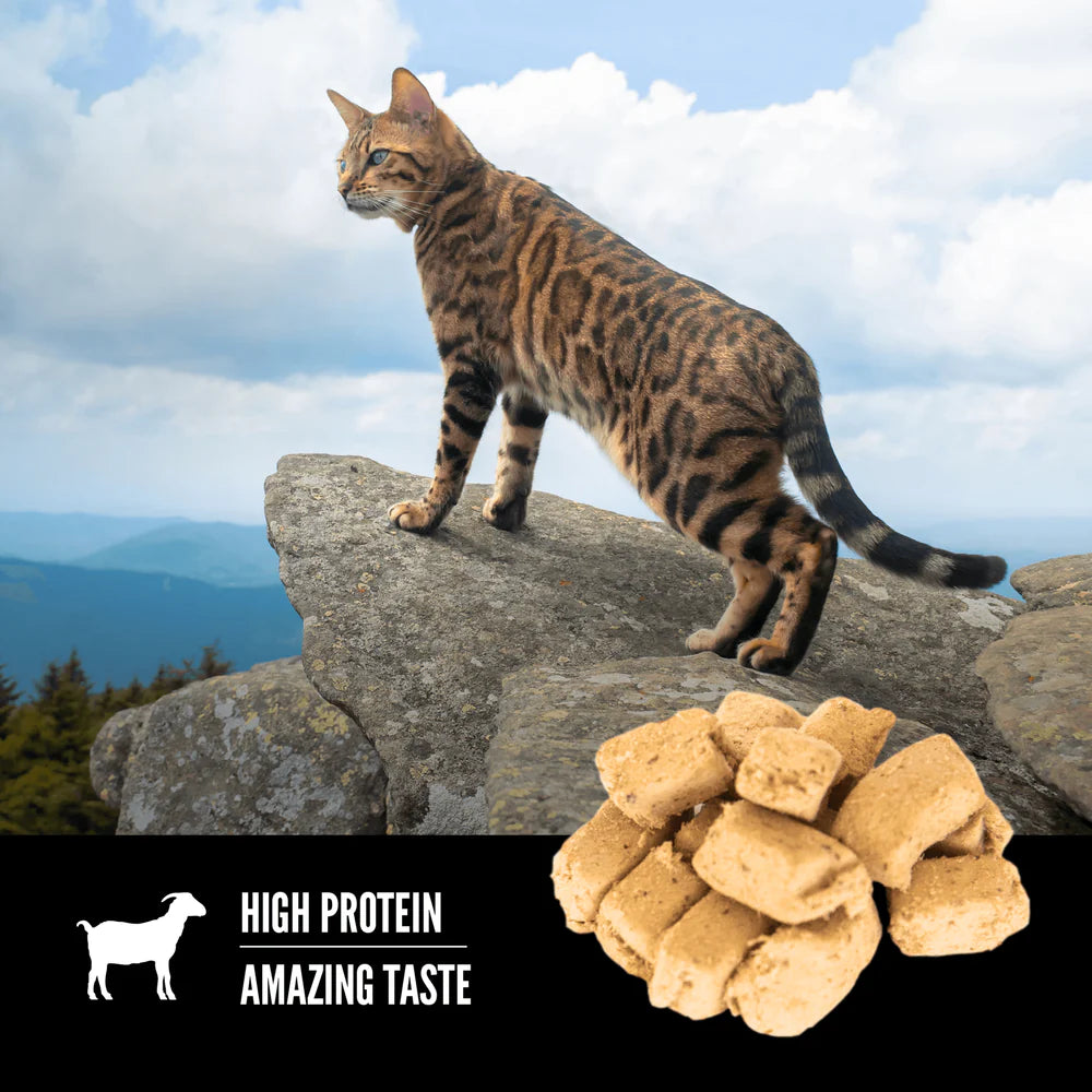 【Orijen】Freeze-Dried Cat Treats - Tundra - 35g