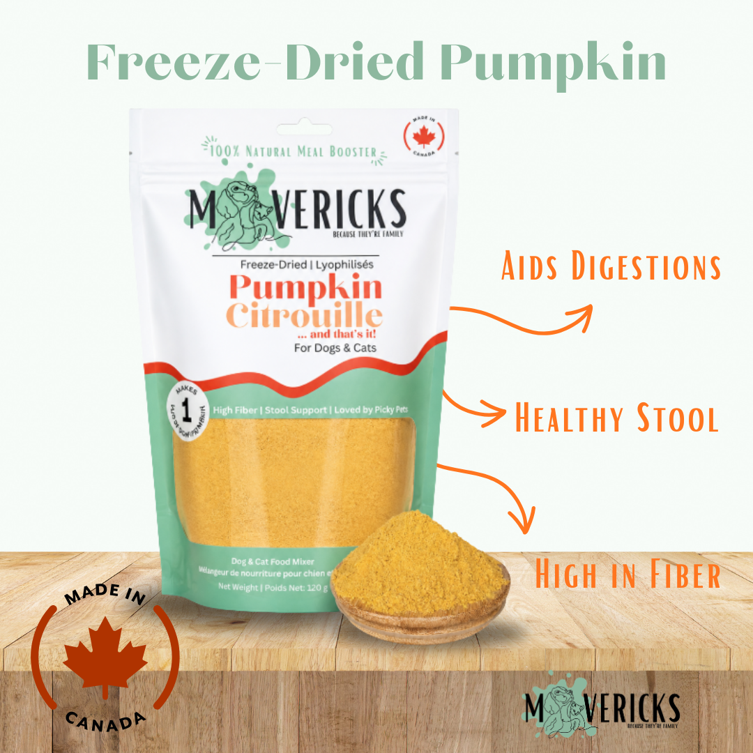 Freeze Dried Topper -  Pumpkin -  for Dogs & Cats