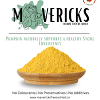 Freeze Dried Topper -  Pumpkin -  for Dogs & Cats