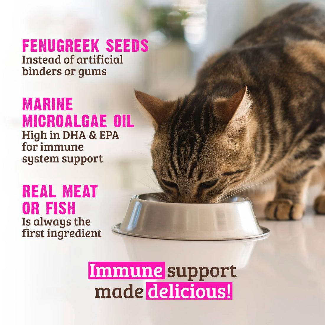 【RAWZ】Cat Can - Immune Support - Salmon & Tuna 5.5oz