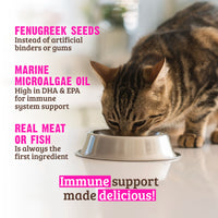 【RAWZ】Cat Can - Immune Support - Salmon & Tuna 5.5oz