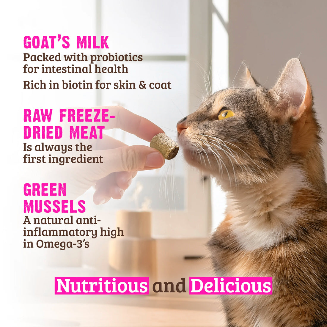 【Rawz】Raw Freeze Dried Rabbit, Goat's Milk & Green Mussels Cat Treats