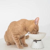 【DexyPaws】Raised Ceramic Cat Bowl - White & Black Flower