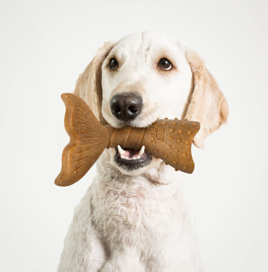 【Powerbone】The Ultimate Chew Toy - Twist Tail Dog 6"