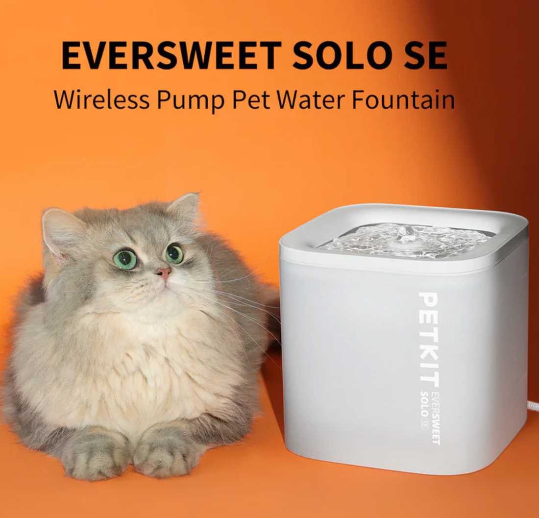 【PETKIT】Eversweet Water Fountain - Solo SE (Wireless Pump)