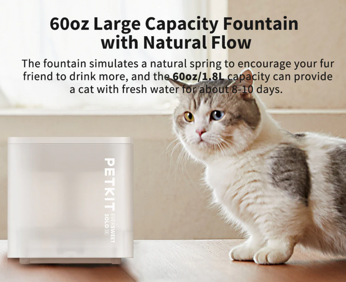 【PETKIT】Eversweet Water Fountain - Solo SE (Wireless Pump)