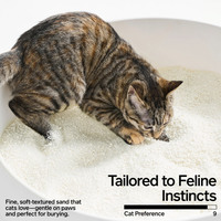 【PIDAN】Cat Litter Cassava - Box of 4