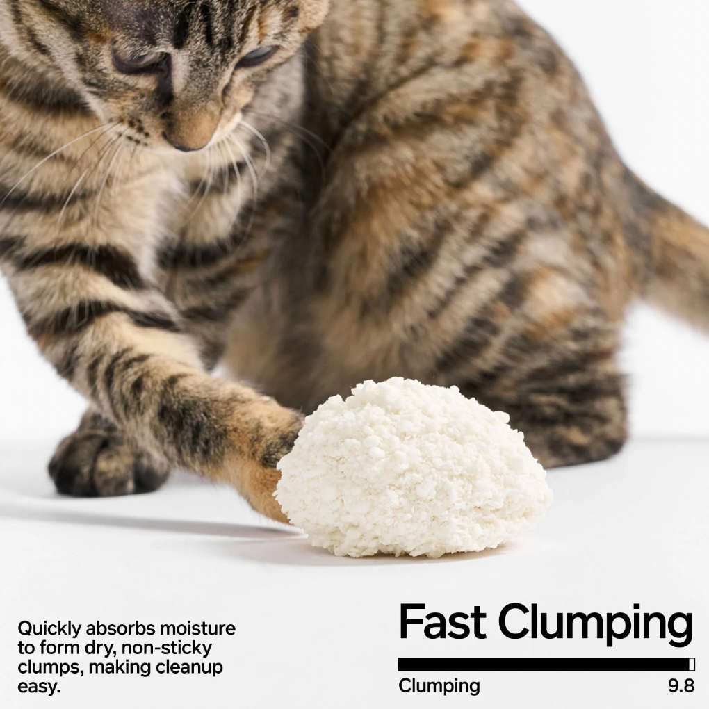 【PIDAN】Cat Litter Cassava - Box of 4