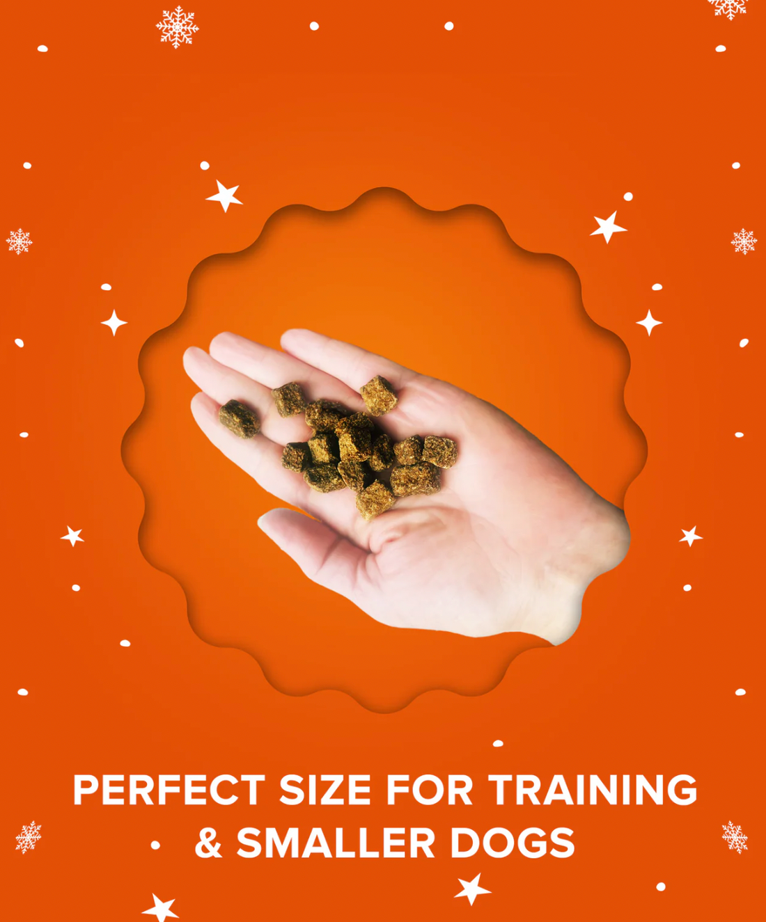 【Plato Pet Treats】Dog Treats -  Holiday Roast - Beef & Pumpkin Small Bites 3oz