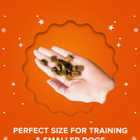 【Plato Pet Treats】Dog Treats -  Holiday Roast - Beef & Pumpkin Small Bites 3oz