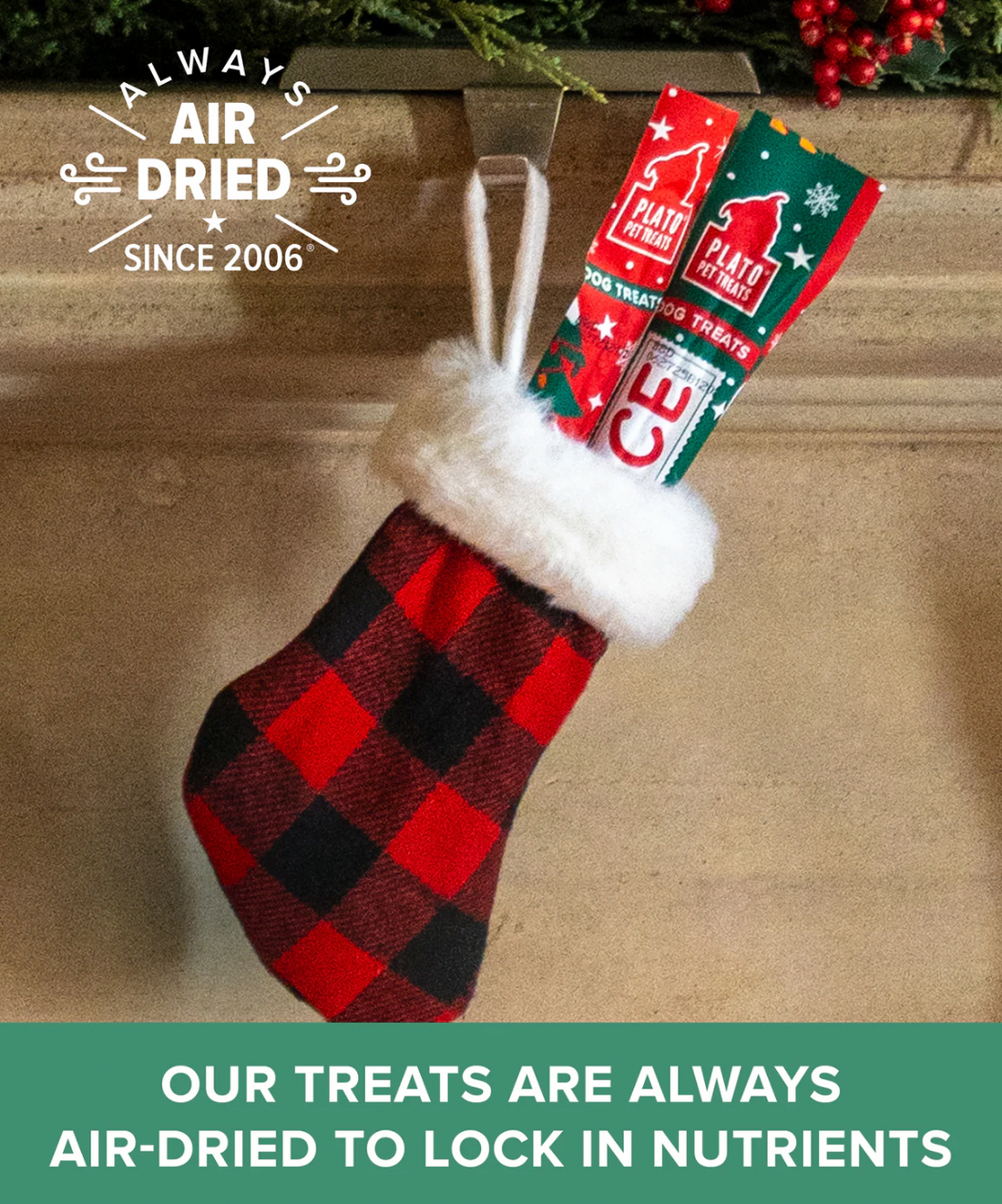 【Plato Pet Treats】Dog Treats -  Naughty Nice Thinkers Duck Recipe