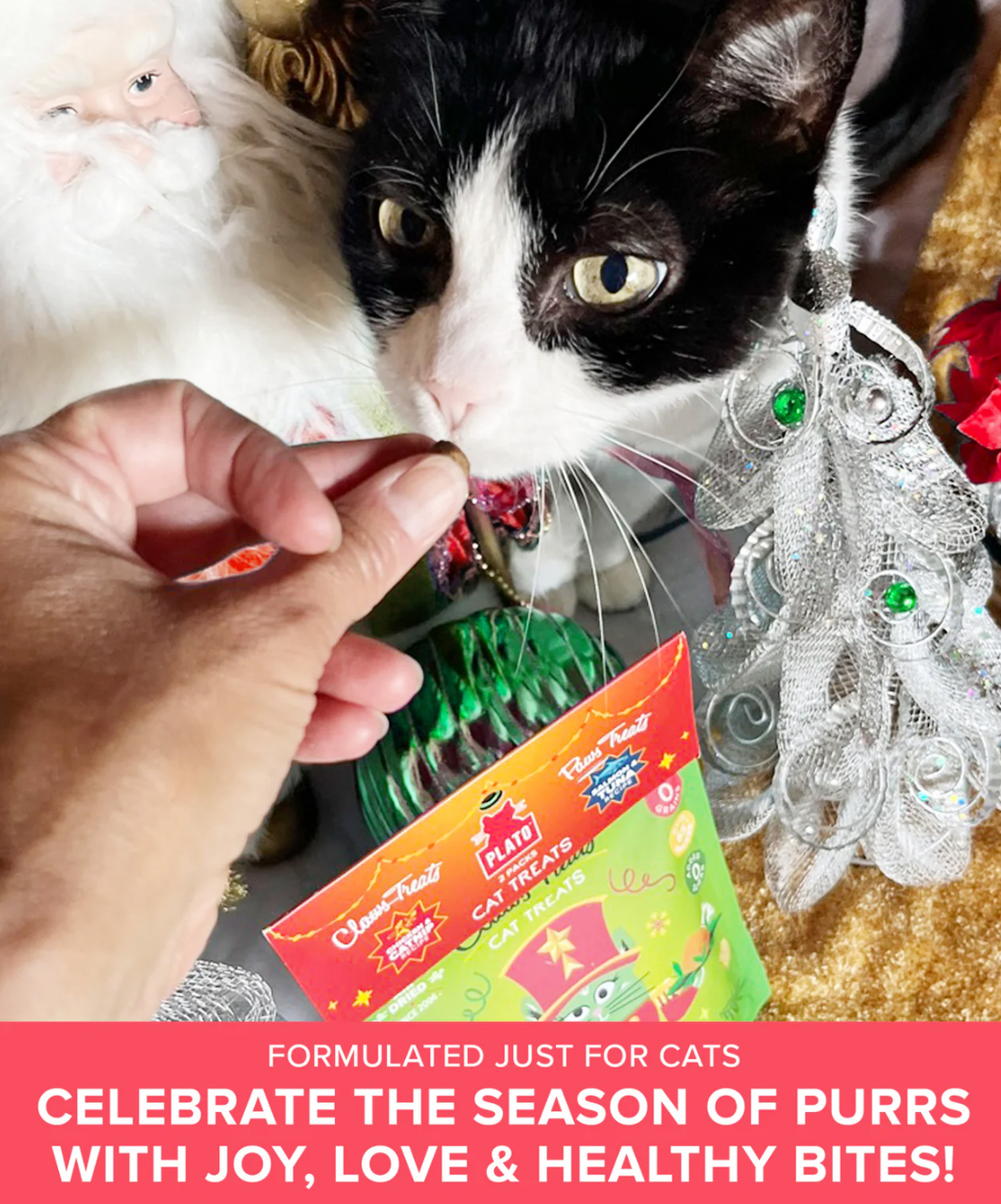 【Plato Pet Treats】Paws & Claws Cat Treats - 2 Pack