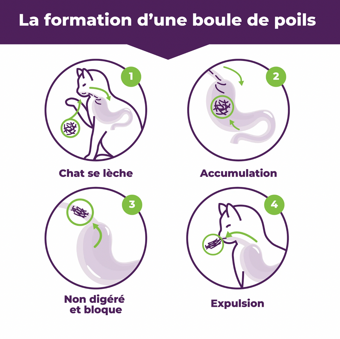 【Baci+】Hairball For Cats - Original pâte 85g