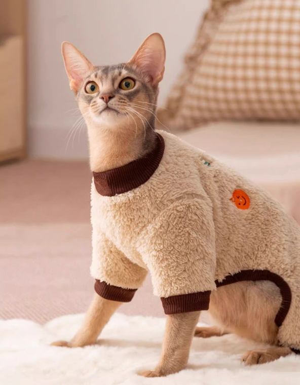 Cute Winter Pet Sweater