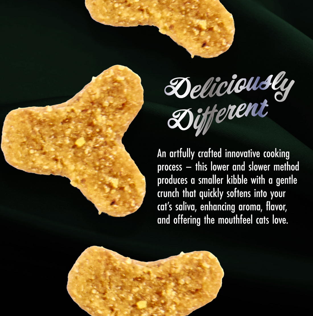 【Fromm】 PurrSnickitty™ Game Bird Grandeur Recipe Dry Cat Food