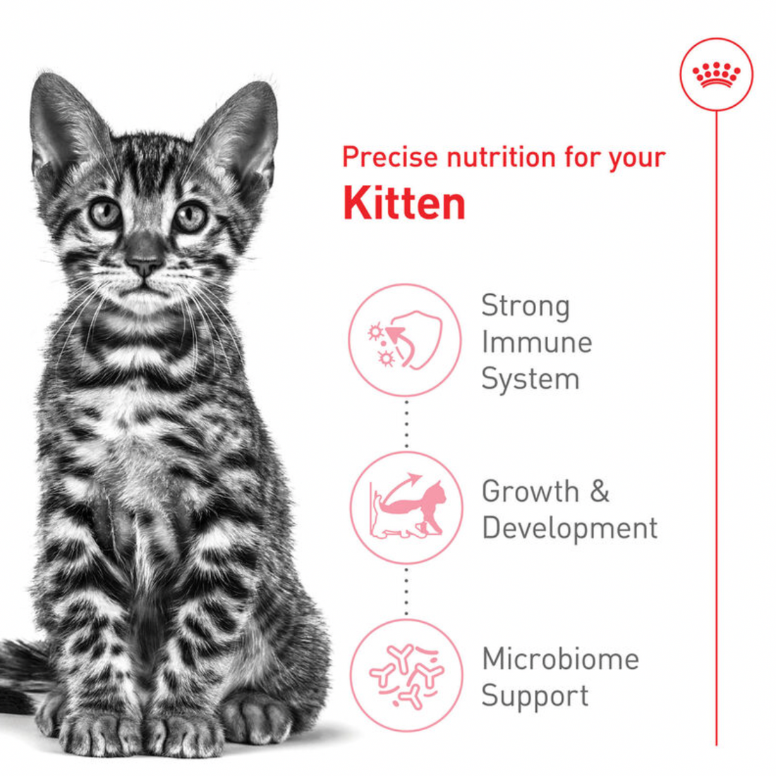 【Royal Canin】Kitten Dry Food - Spayed / Neutered Cat 2.5lbs