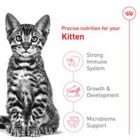 【Royal Canin】Kitten Dry Food - Spayed / Neutered Cat 2.5lbs