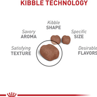 【Royal Canin】Cat Dry Food -  Nutrition Dental Care 3lbs