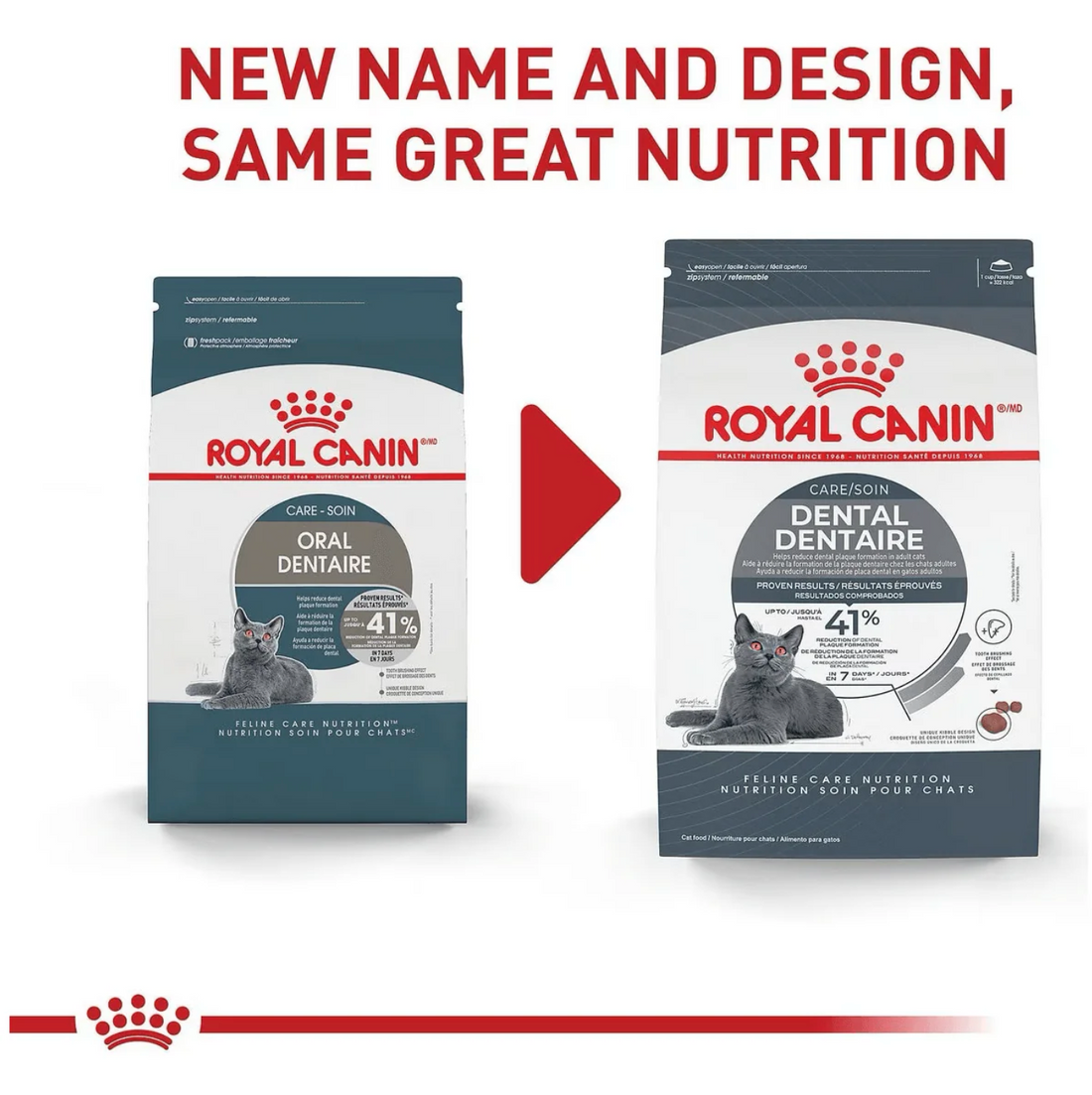 【Royal Canin】Cat Dry Food -  Nutrition Dental Care 3lbs