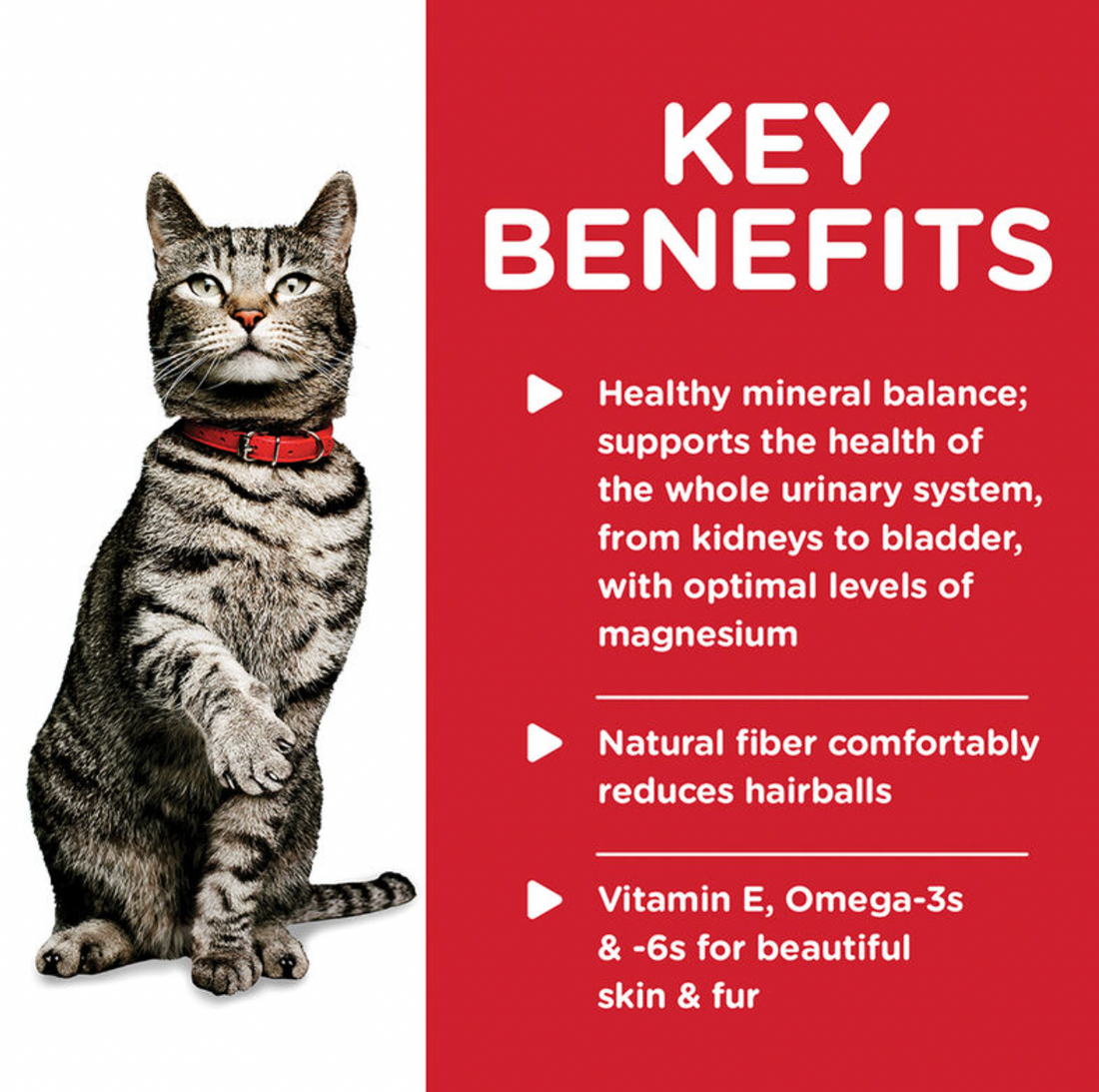 【Hills】Adult Cat Urinary & Hairball Control - Savory Chicken Entrée 2.9 oz