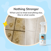 【Kin + Kind】Pee + Stain + Odor Destroyer (Multi-Surface) - Citrus - 32 fl.oz / 946 ml
