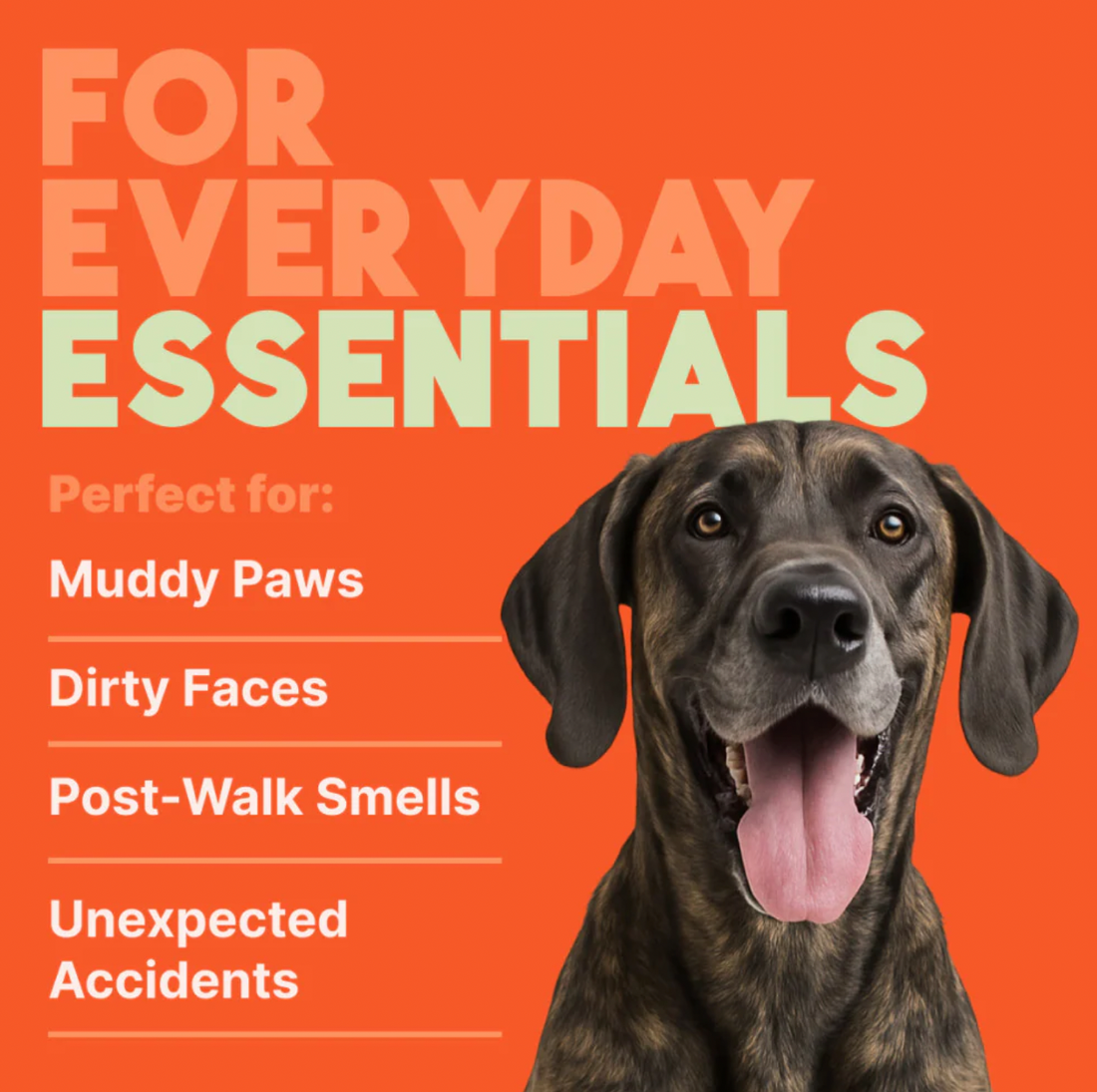 【Tropiclean】Papaya & Coconut Luxury 2-In-1 Pet Wipes（Conditioning & Deodorizing） 100Ct