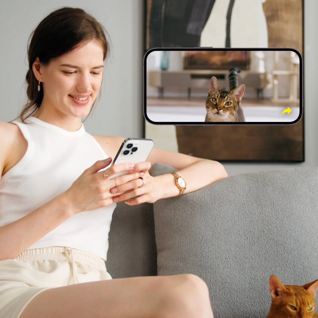 【Petkit】YumShare Solo Automatic Feeder with Camera