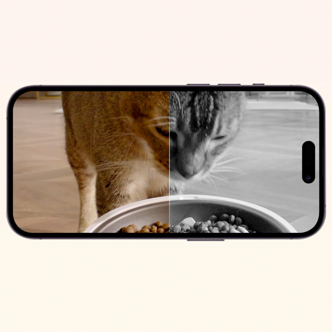 【Petkit】YumShare Solo Automatic Feeder with Camera