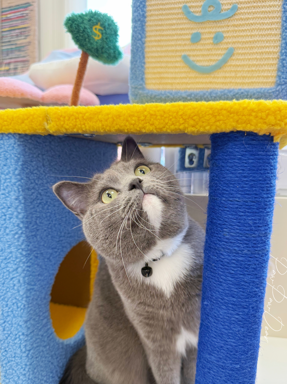 【PETSVILLE】Back to Work, Time to Relax – Cat Tree