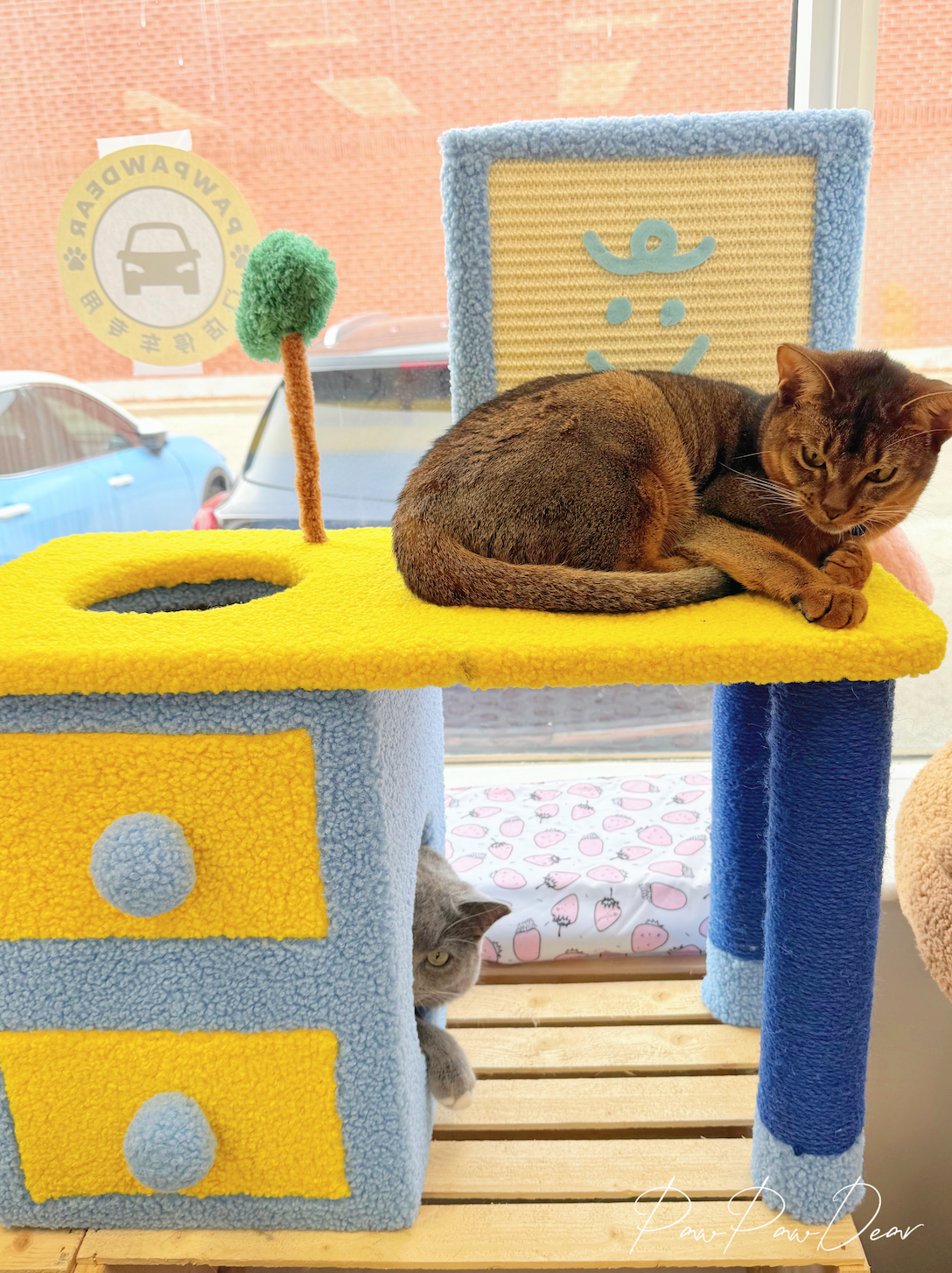 【PETSVILLE】Back to Work, Time to Relax – Cat Tree
