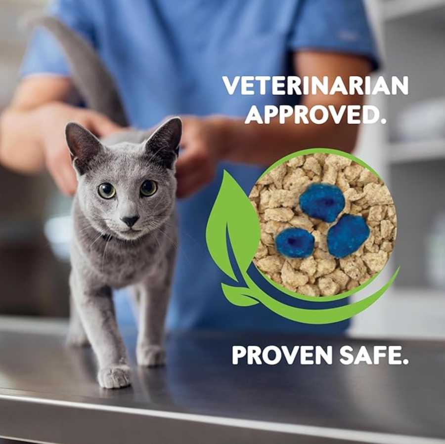 【World's Best】Health Check-In Boosters 12g（Instant Color Indicator for Urinary Issues）