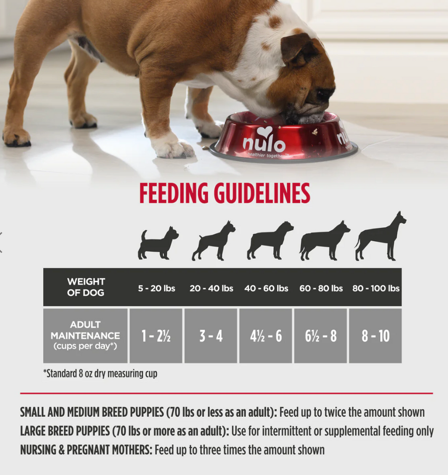 【Nulo】Dog - Freeze-Dried Raw Lamb & Raspberries- 8 oz & 18 oz