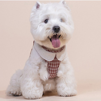 Plaid Parade - Plaid Leash & Harness