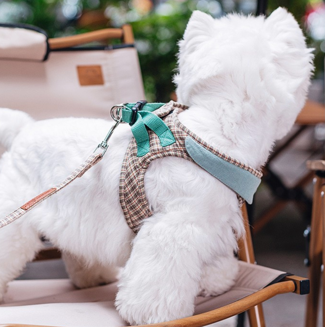 Plaid Parade - Plaid Leash & Harness